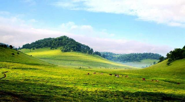 ◆關山草原風景名勝區(qū)(國家AAAA級旅游景區(qū))