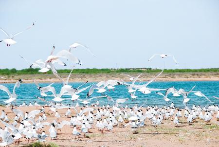 ����ǧ�����ݳ��r�g���TƱ�r��